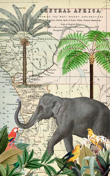 Olifant in Afrika van Andrea Haase