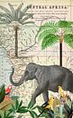 Olifant in Afrika van Andrea Haase thumbnail