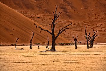Dead Vlei, Namibia von Angelika Stern