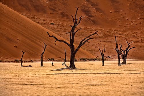 Dead Vlei, Namibia