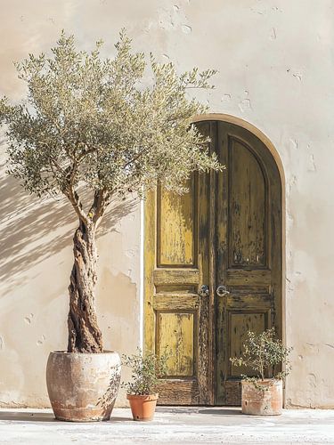 Tür im mediterranen Stil mit Olivenbaum