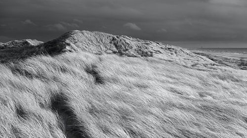 Dégagement sur la barre de mer