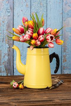 Tulipes multicolores dans une ancienne cafetière en émail sur Photo Art Thomas Klee