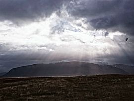 Magisch licht