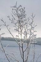 Sonniger Wintertag