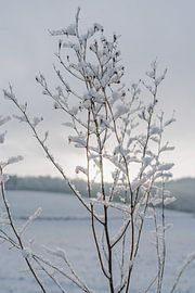 Journée d'hiver ensoleillée sur Stefanie Hürrich