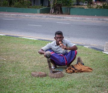 slangenbezweerder Sri Lanka sur Rony Coevoet