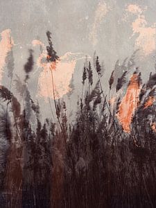 Les roseaux ondulent dans le vent d'hiver