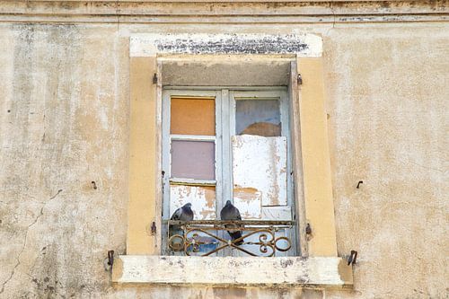 Duiven in oud raam op rustiek hekwerkje Frankrijk van Marly De Kok