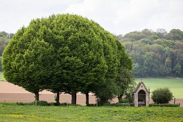 Landschap met kleine kapel en bomen in het Geuldal, Valkenburg van Ger Beekes