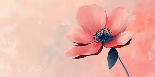 Poppy in Soft Pink Morning Light