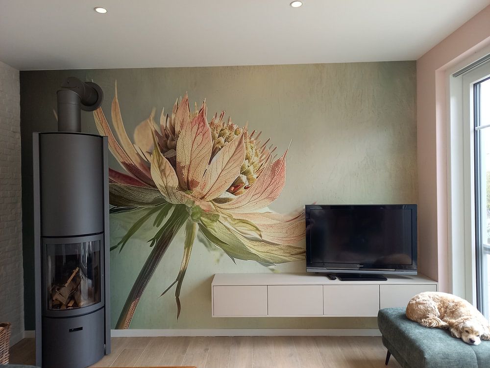 Nœud zélandais, minimalisme  par Studio Allee 