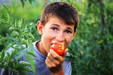 Blije jongen bijt in de tomaat van Besa Art