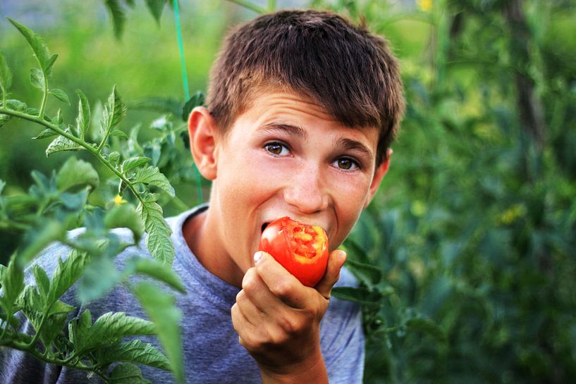Joyful boy bites the tomato by Besa Art