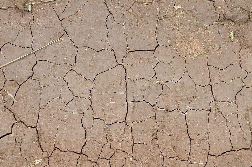 Gebarsten aarde van Affect Fotografie