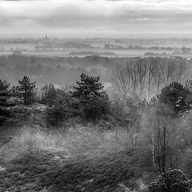 Brouillard matinal sur Schoorl sur jeroen akkerman