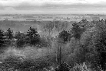 Morgennebel über Schoorl