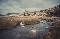 Ritoma, Tibetan Plateau by Anahi Clemens thumbnail