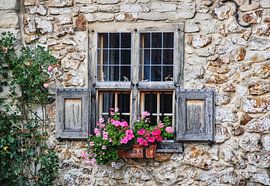 A beautiful Limburg facade Photo 3 by Natuurpracht   Kees Doornenbal