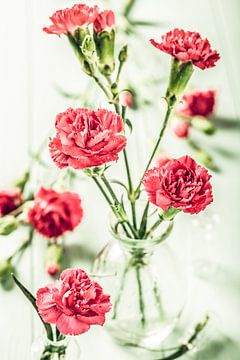 Roze anjers bloemen in de glazen vaas