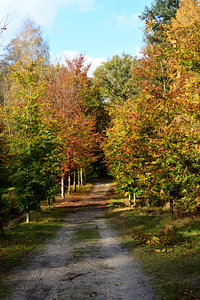 Eine Allee über einem Anwesen im Herbst