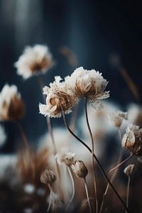 Pastel Dry Flowers No 3