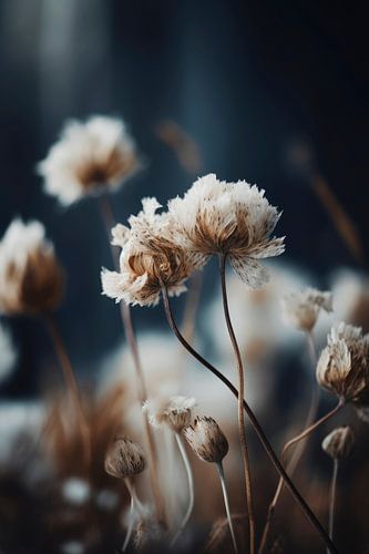 Pastel Dry Flowers No 3