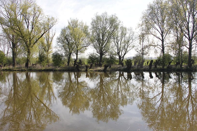 Reflection by Christel Smits