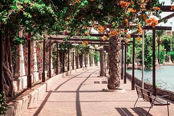 Park in Torrevieja von Shelena van de Voorde