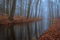 Reflections by Moetwil en van Dijk - Fotografie thumbnail