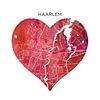 Haarlem | City maps as Wall Circle by WorldMapShop