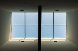 Purity sur David Pronk