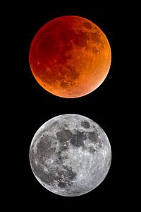 éclipse lunaire totale et pleine lune sur Monarch C.