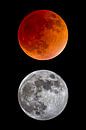 éclipse lunaire totale et pleine lune par Monarch C. Aperçu