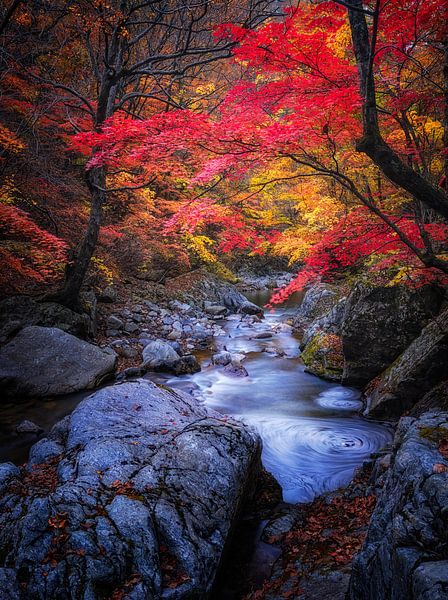 Autumn in the valley by Tiger Seo