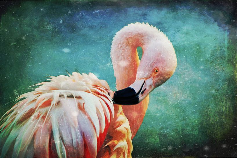 Flamingo Portrait von AD DESIGN Photo & PhotoArt