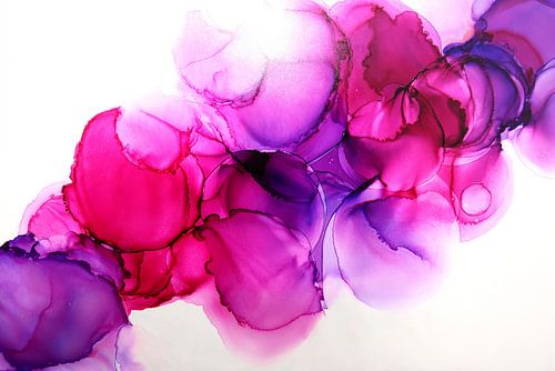 Rosa Wolken von Joke Gorter