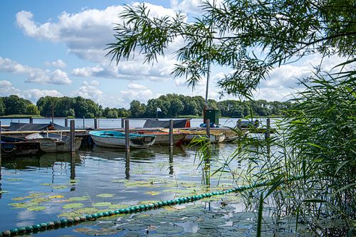 Landschaft Maarsseveense plassen | Schwimmbad