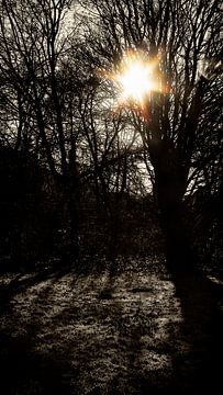 Schöner Wintertag von Jan van der Knaap