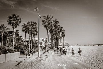 Venice Beach by John Groen