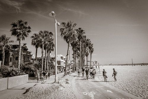 Venice Beach