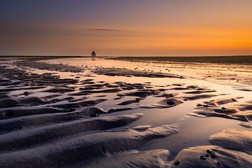 Engelsmanplaat in the Wadden Sea by Ton Drijfhamer