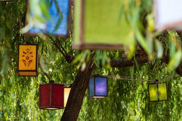 Lantaarns in verschillende kleuren onder de boom in Hobbiton, Nieuw-Zeeland van Paul van Putten