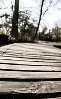 Le pont