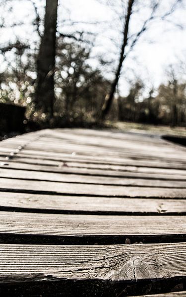 The bridge by Photos by Ilse
