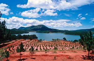 Zauberhafter See im Zentralen Hochland in Da Lat