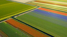 Färgstarka diagonaler by Anders Andersson