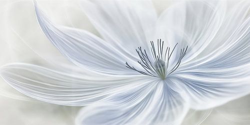 Grote bloem in zachte kleur