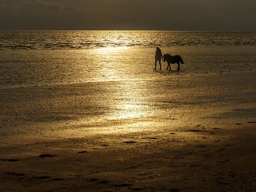 Het strand van Rockanje met meisje en pony in fel tegenlicht