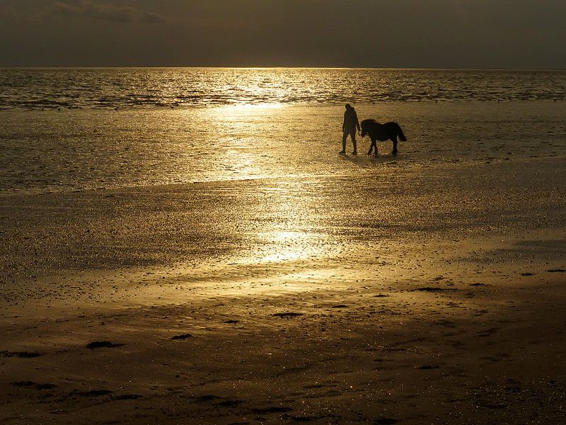 Het strand van Rockanje met meisje en pony in fel tegenlicht van Anneriek de Jong